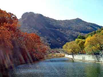 新澳天天开好彩资料大全，石家庄岩棉保温板